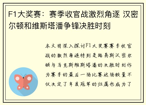 F1大奖赛：赛季收官战激烈角逐 汉密尔顿和维斯塔潘争锋决胜时刻