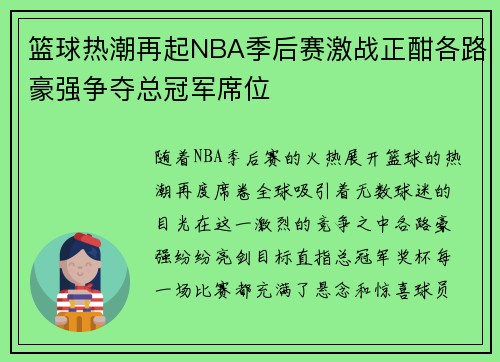 篮球热潮再起NBA季后赛激战正酣各路豪强争夺总冠军席位
