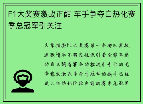 F1大奖赛激战正酣 车手争夺白热化赛季总冠军引关注
